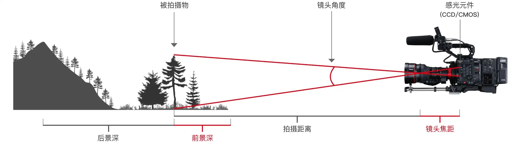 佳能官网的示例图